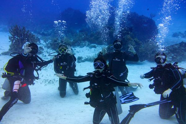Diving Playa del Carmen Open Water Diving Playa del Carmen Open Water